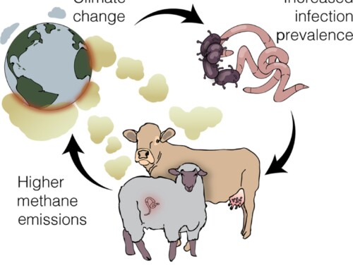 Salud animal y cambio climático